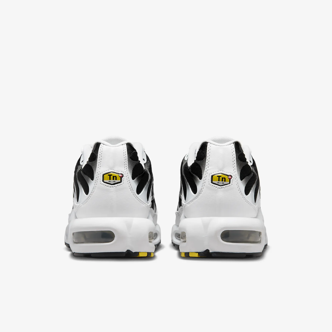 Nike Air Max Plus Tn 'Killer Whale'