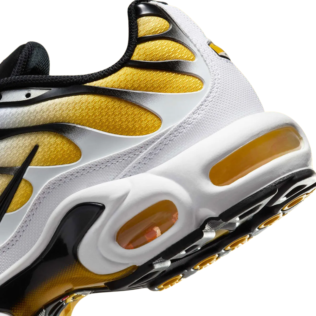 Nike Air Max Plus Men's Shoes RO