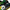 Nike TN Air Max Plus Trainers Nike HR