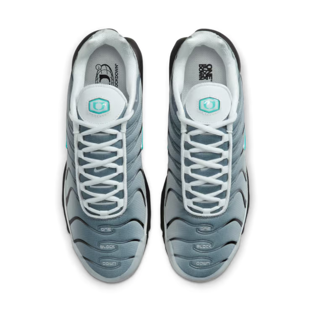 Nike Air Max Plus One Block Down Matte Silver