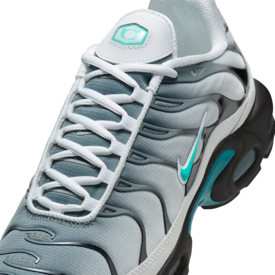 Nike Air Max Plus One Block Down Matte Silver