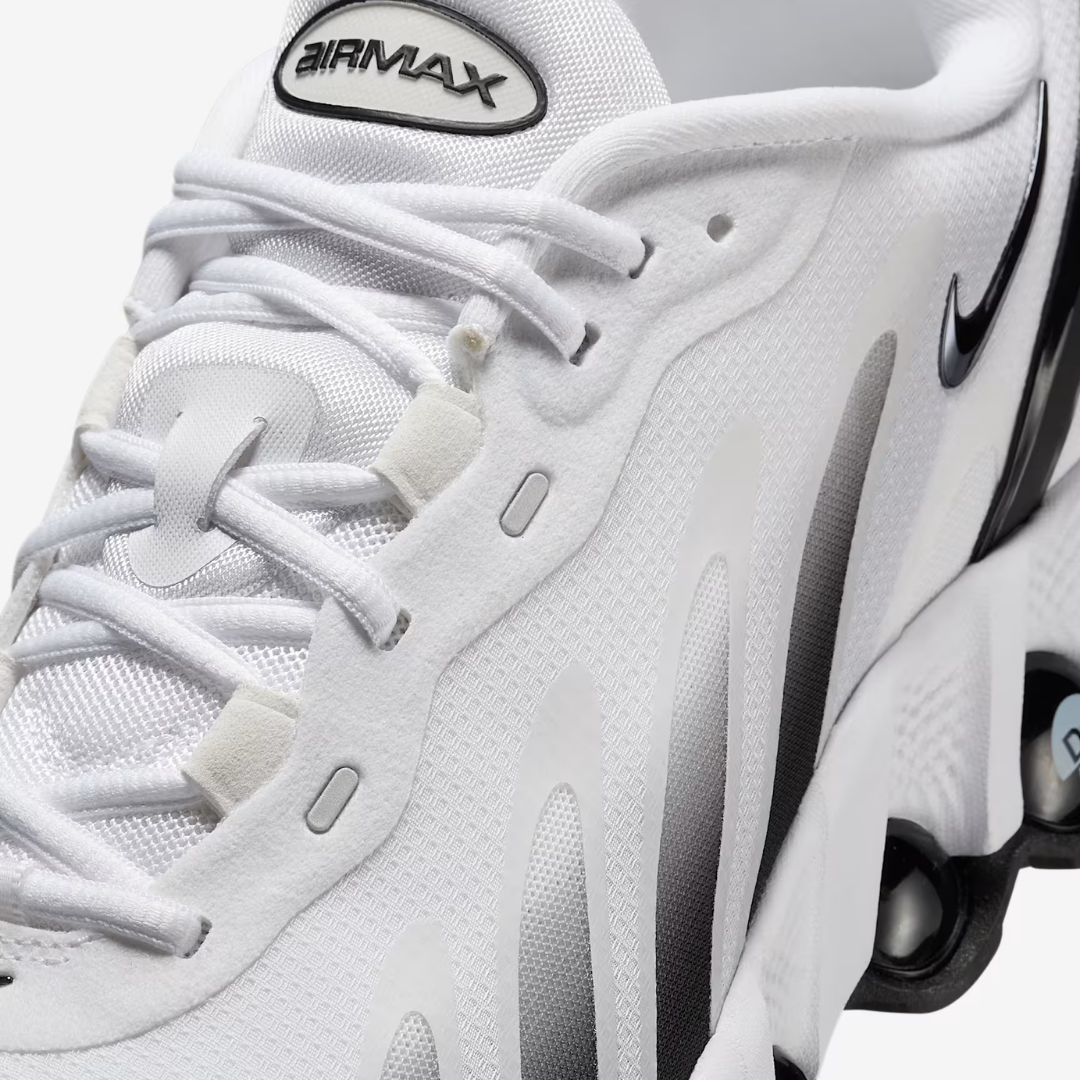 Nike Air Max DN8 “Panda”