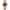 Seiko Nautilus Rose Black