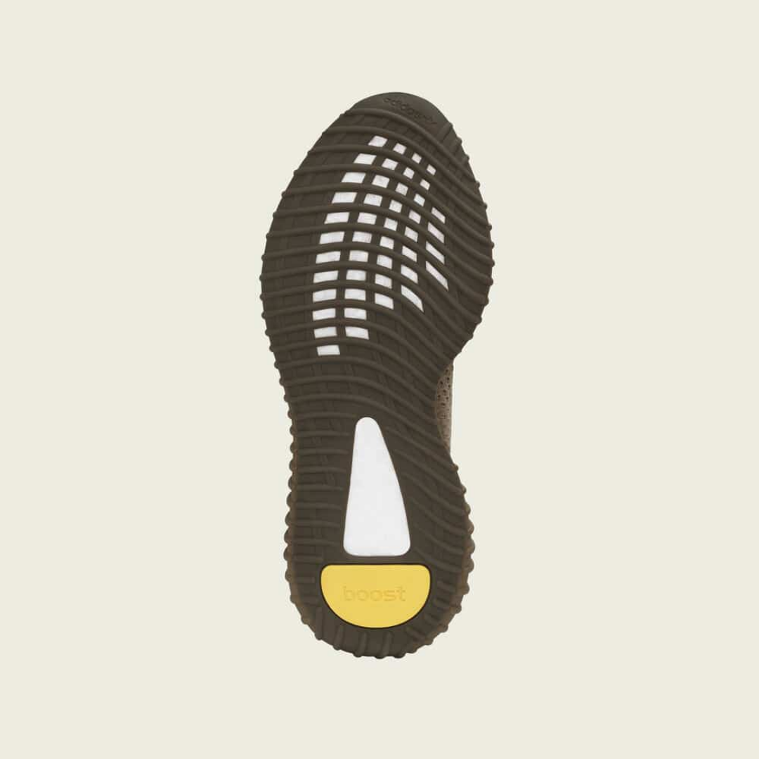 Adidas Yeezy Boost 350 V2 "Earth"